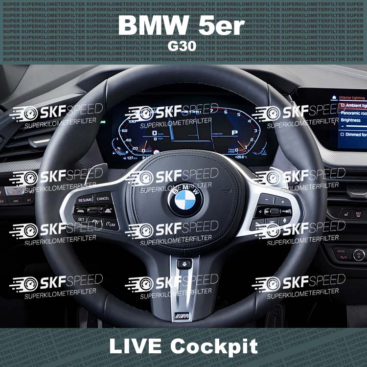 BMW-5er-G30-LIVE-Cockpit.jpg